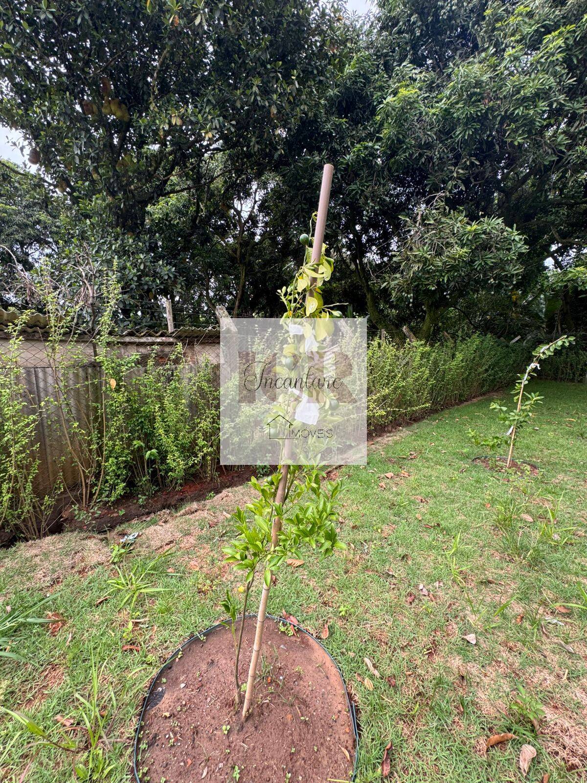 Fazenda à venda com 3 quartos, 350m² - Foto 52